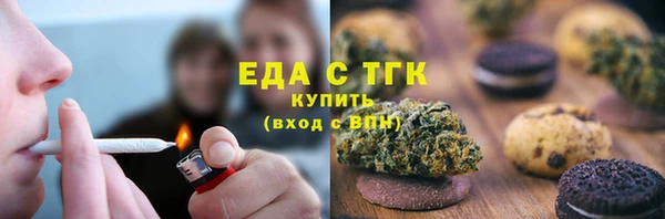 индика Ростов